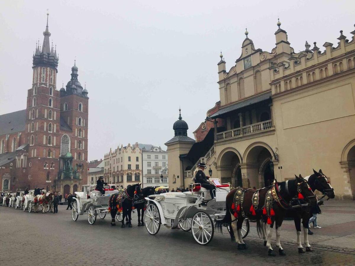 Studio Appartment In Old Town Cracovia Esterno foto